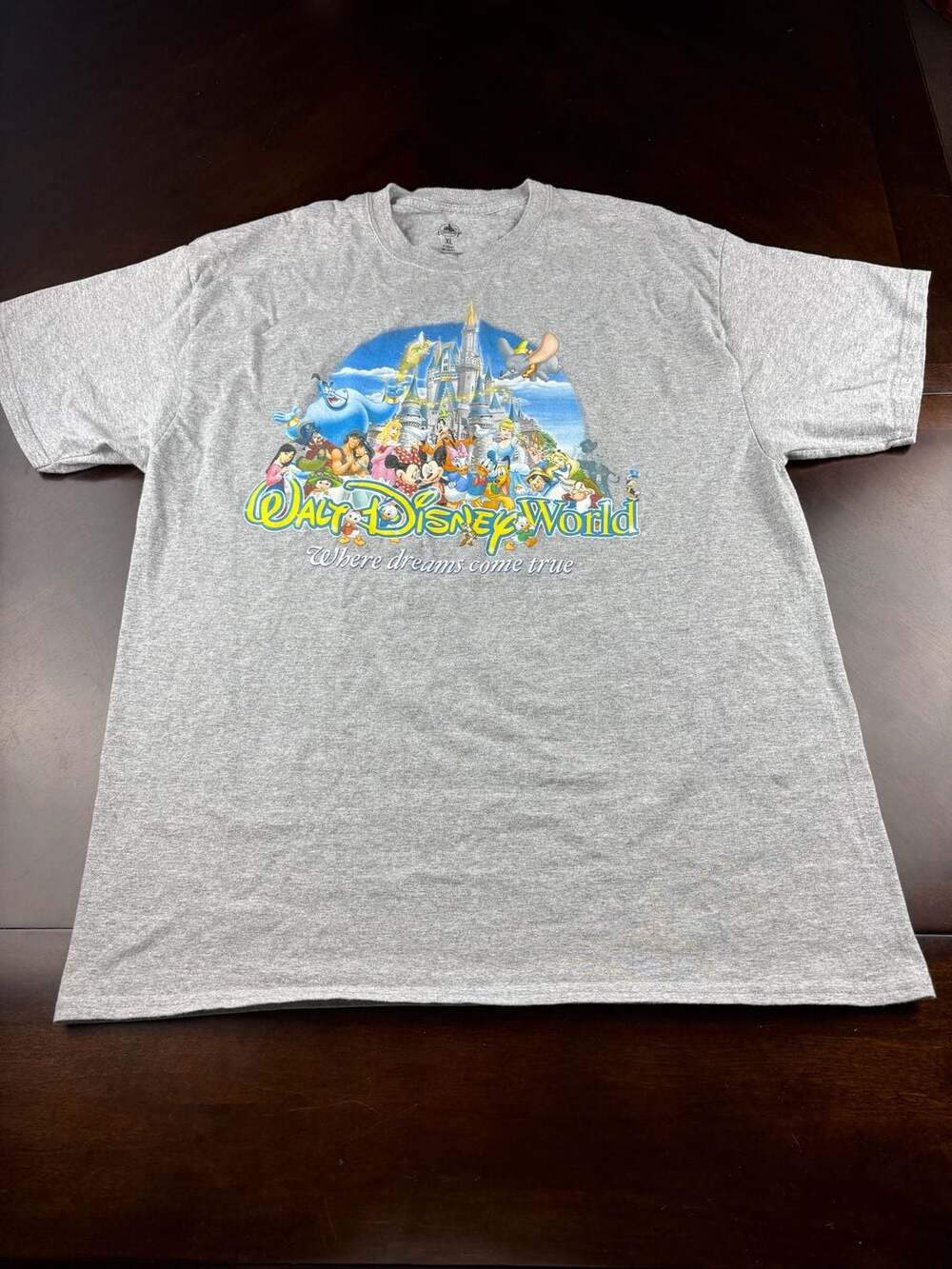 Walt Disney World Where Dreams Come True Gray Graphic T-Shirt Adult XL Character